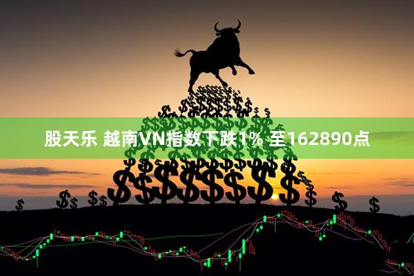 股天乐 越南VN指数下跌1% 至162890点